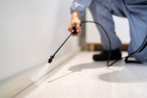 Licensed Termite Control service in Jackson County County, OH - Nex Pest Control