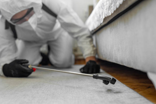 Professional Termite Control technician working in Jackson County County, OH